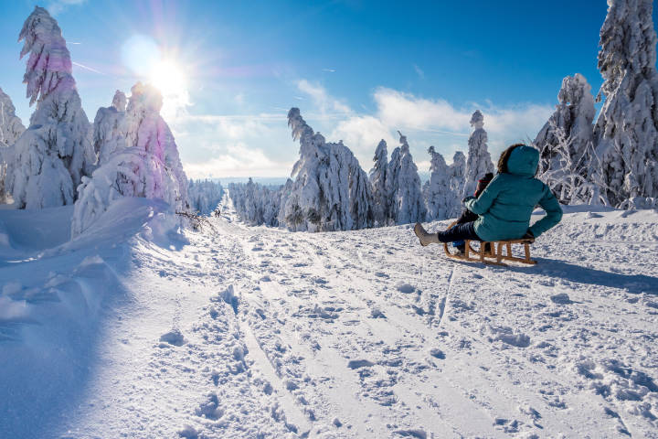 Mutter und Kind bei der Schlittenfahrt durch den Wald