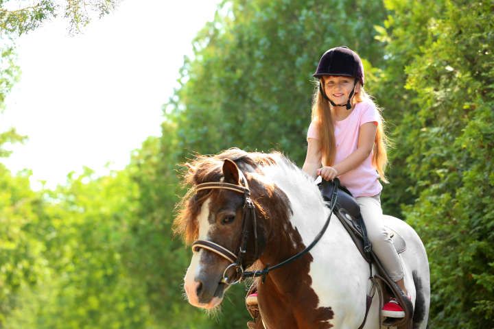 Junges Mädchen lernt reiten auf dem Pony