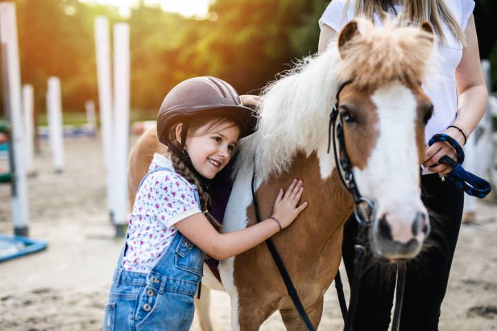 Mädchen streichelt ein Pony auf den Reiterhof