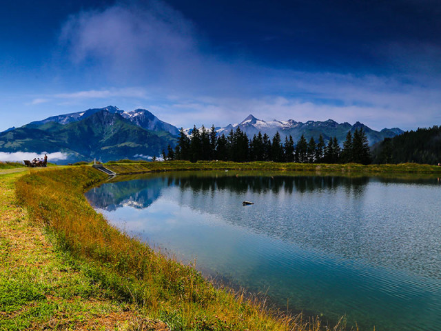 Entwies Alm