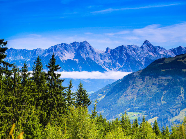 Entwies Alm