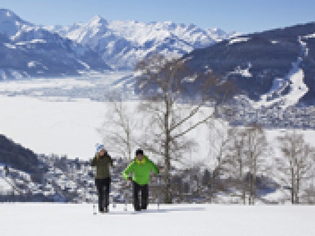 Entwies Alm