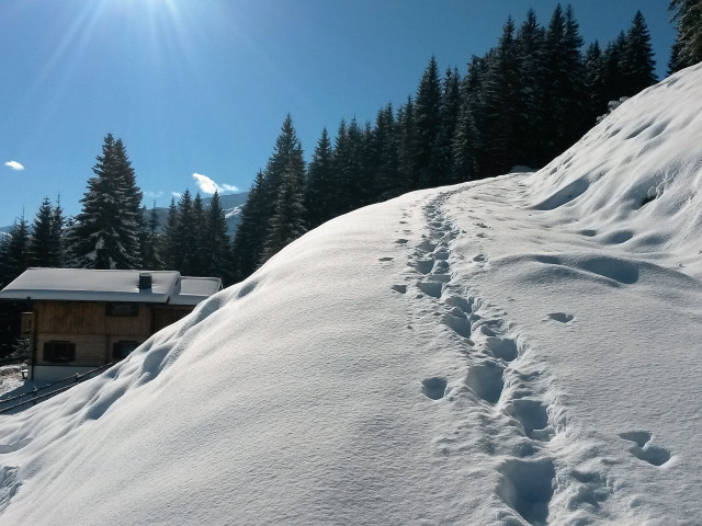 Entwies Alm