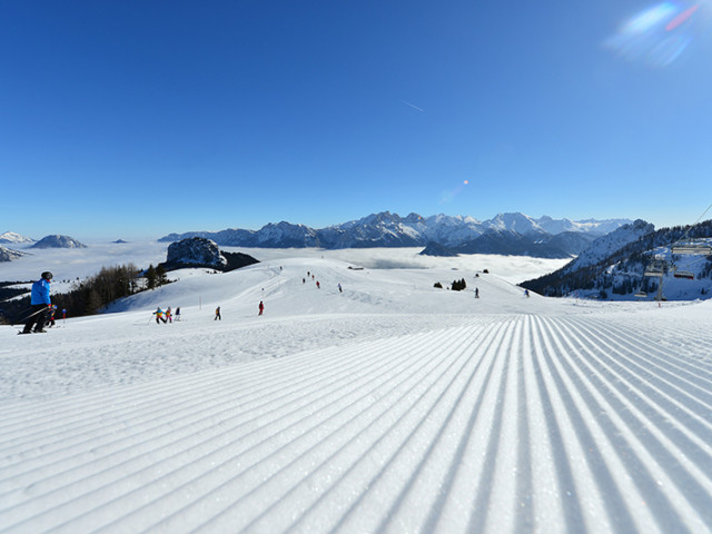 Hallensteinerkasa