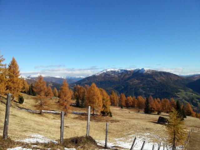 Mörtenalmhütte 