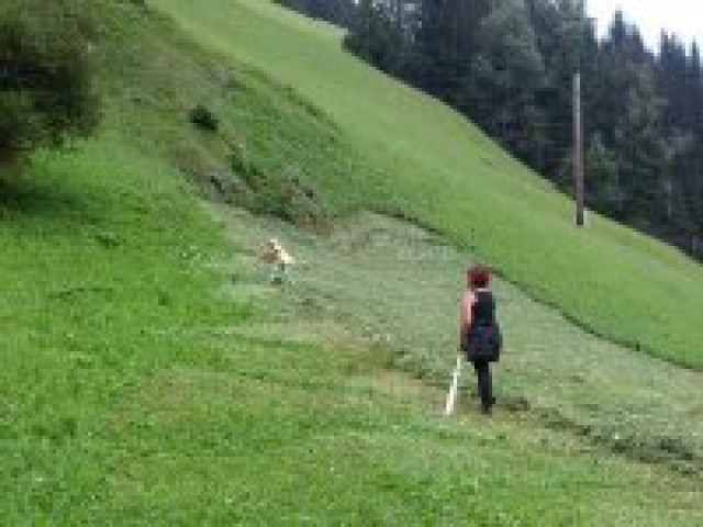 Almhütte S'Kammerle im Villgratental 