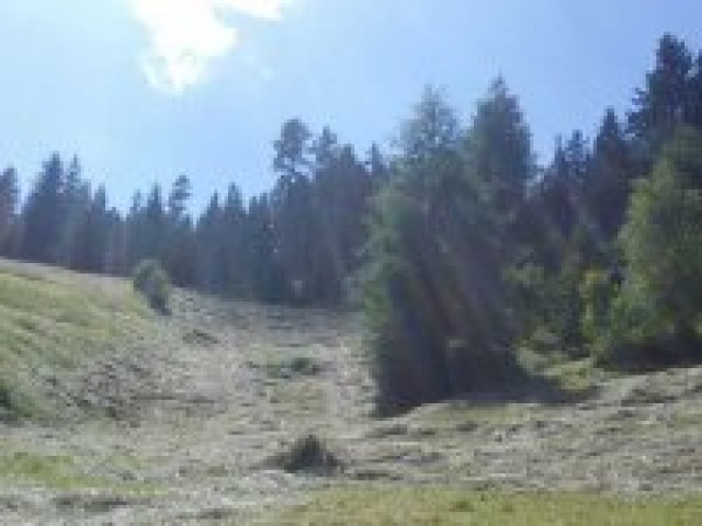Almhütte S'Kammerle im Villgratental 