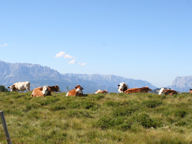 Sonnseit Almhütte im Grossarltal