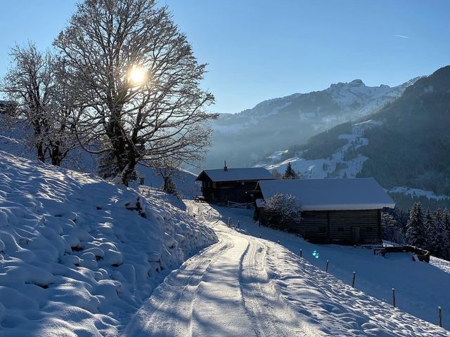 Hochbruckalm