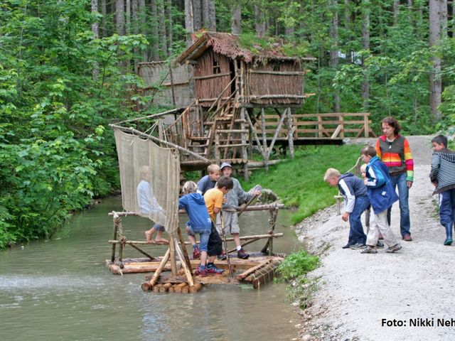 Almhütte in Gosau SPI-OOE