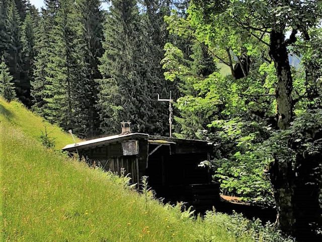 Almhütte in Kitzbühel HOS-TIR