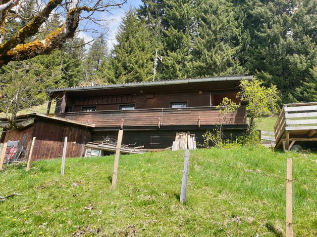 Almhütte in Kitzbühel HOS-TIR