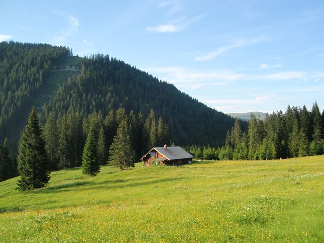 Almhütte in Abtenau im Salzburger Land JOS-SBG