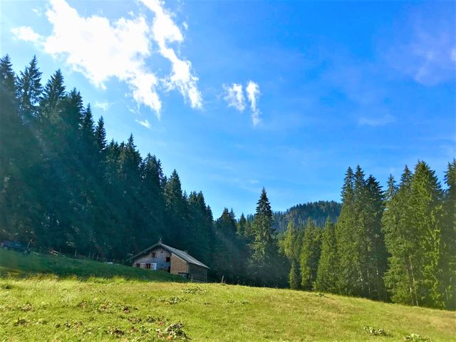 Almhütte in Abtenau POS-SBG
