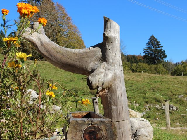 Almhütte in Unken im Salzburger Saalachtal TAL-SBG