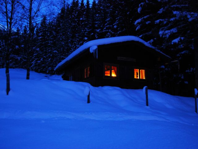 Almhütte im Wander-Bike-Skiparadies Saalbach STO-SBG