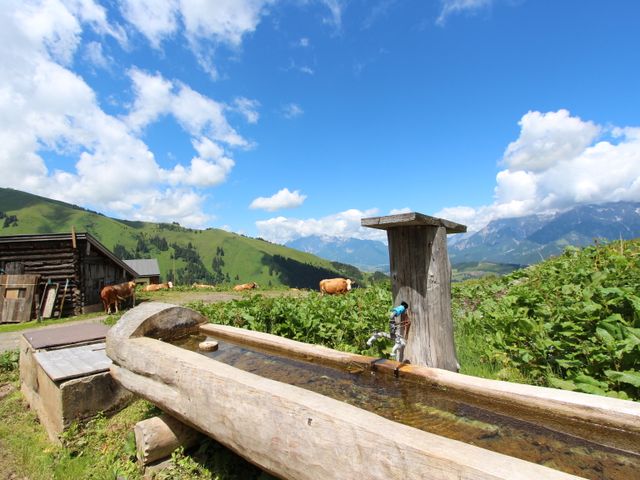 Amhütte in Maria Alm ULA-SBG