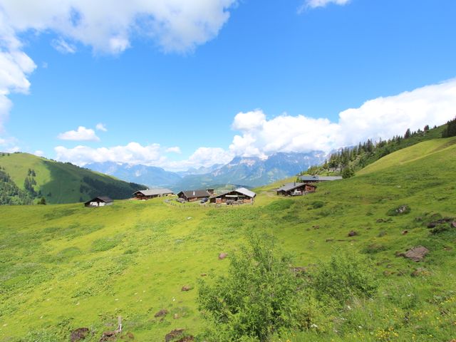 Amhütte in Maria Alm ULA-SBG