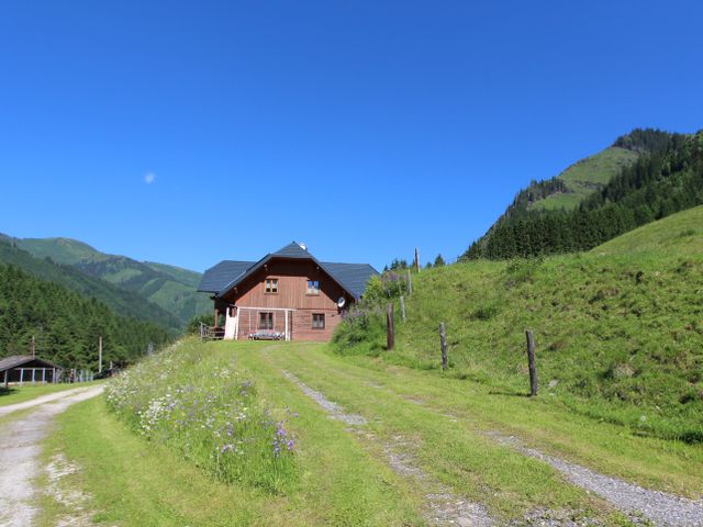 Komfortable Almhütte in Donnersbach DON-STM