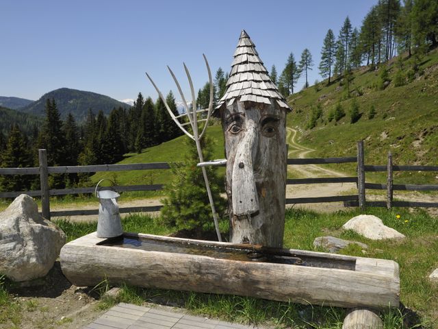 Almhütte in Seetal im Lungau HUS-SBG