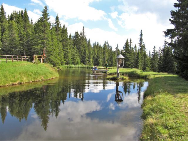 Almhütte in Lachtal NER-STM