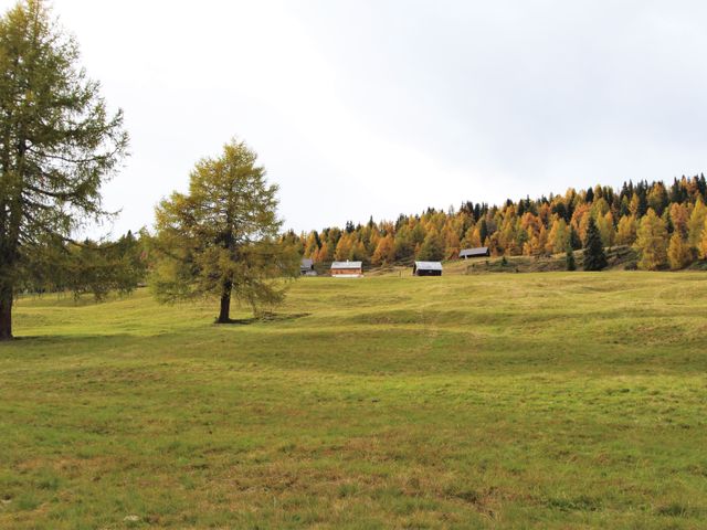 Almhütte in Stadl an der Mur - Steiermark TAT-STM