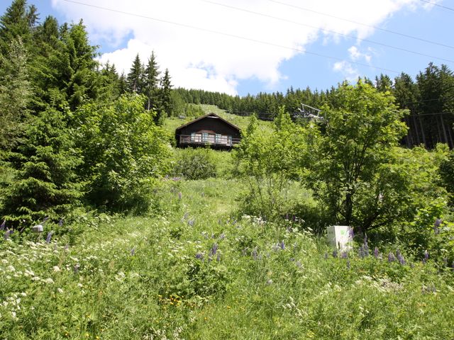 Almhütte Präbichl REG-STM