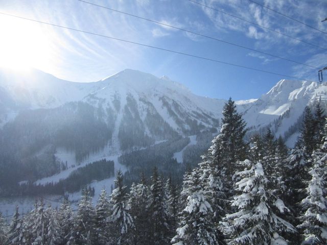 Almhütte Präbichl REG-STM