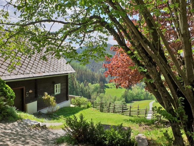 Almhütte in St. Jakob-Breitenau SLA-STM