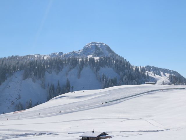 Almhütte JSD-SBG