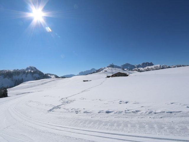 Almhütte JSD-SBG