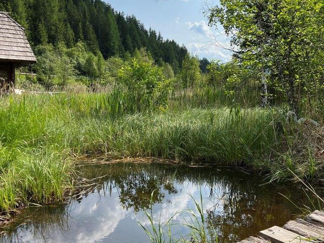 Almhütte  im Lachtal GES-STM