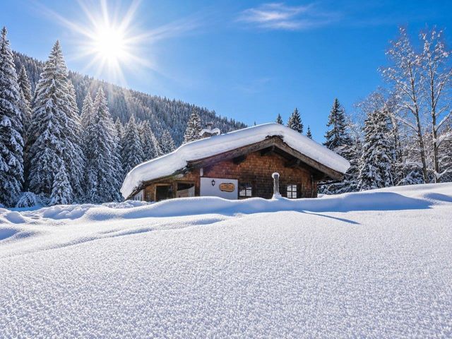 Almhütte EUD-SBG