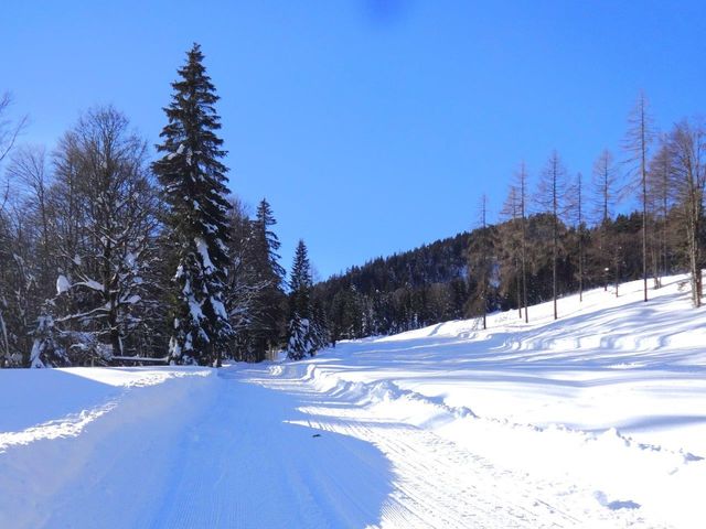 Almhütte EUD-SBG