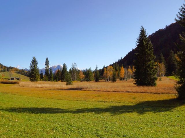 Almhütte EUD-SBG