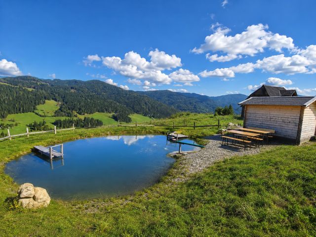 Hütte OFL-STM